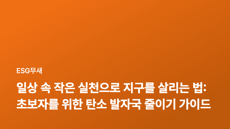 일상 속 작은 실천으로 지구를 살리는 법: 초보자를 위한 탄소 발자국 줄이기 가이드